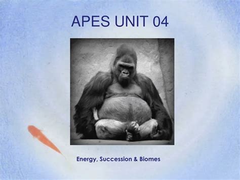Apes unit 4. Things To Know About Apes unit 4. 